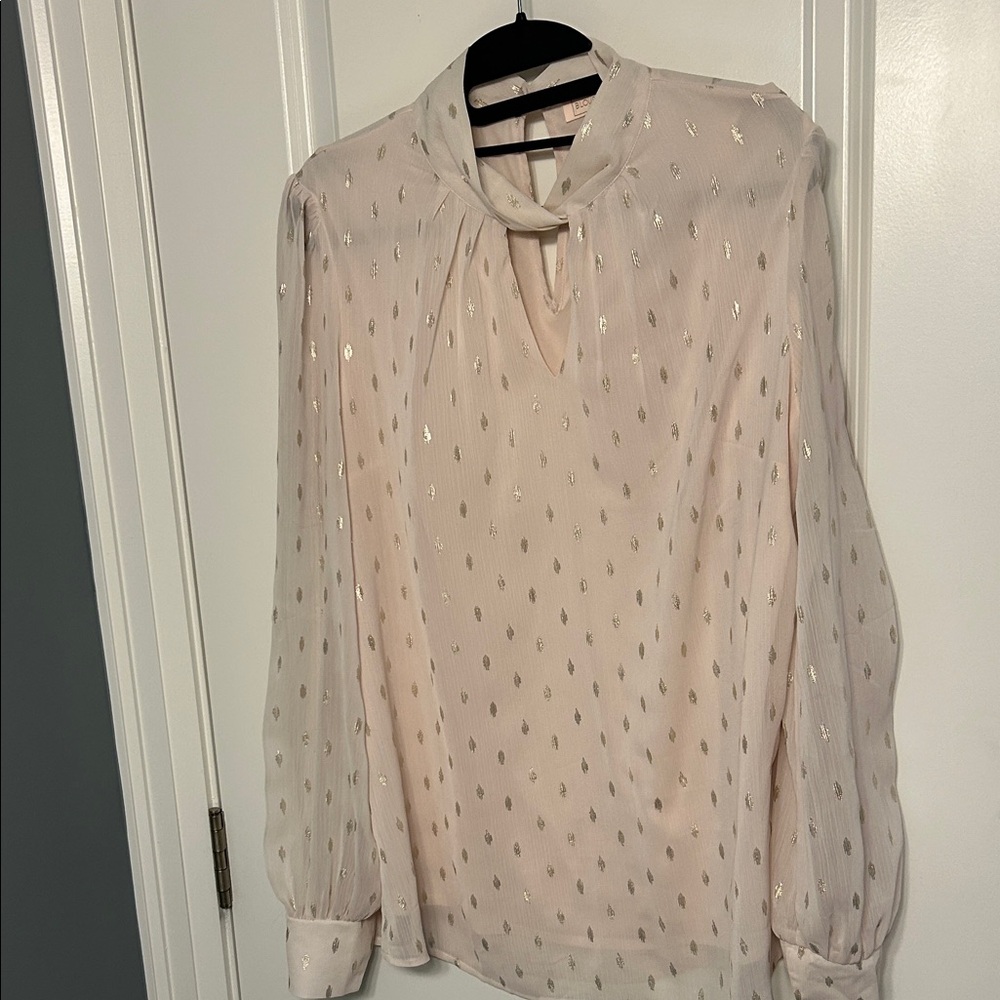 Elegant Cream Pinkish Blouse with Gold Accents
